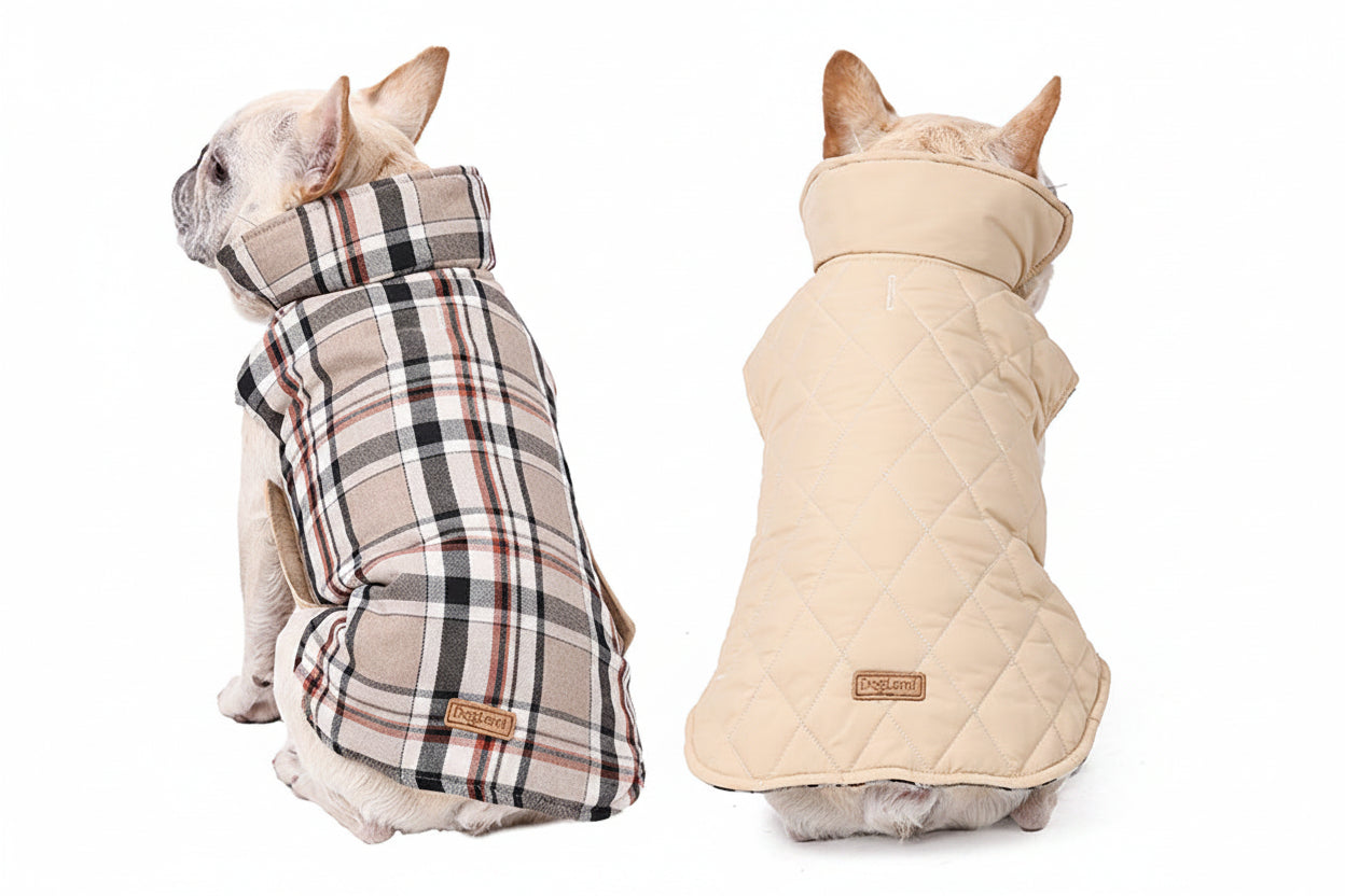 Hund i rutkappa bakifrån